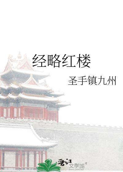 经略红楼全本免费阅读