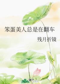 笨蛋美人女主
