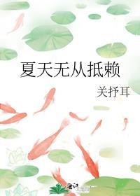 夏天无从抵赖大结局