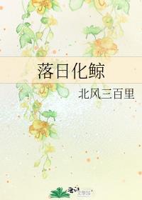 落日化鲸番外百度资源