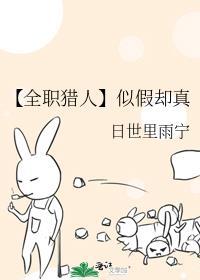 全职猎人cp