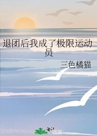 退团后我成了极限运动员 类似 推荐