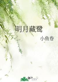 银碗盛雪