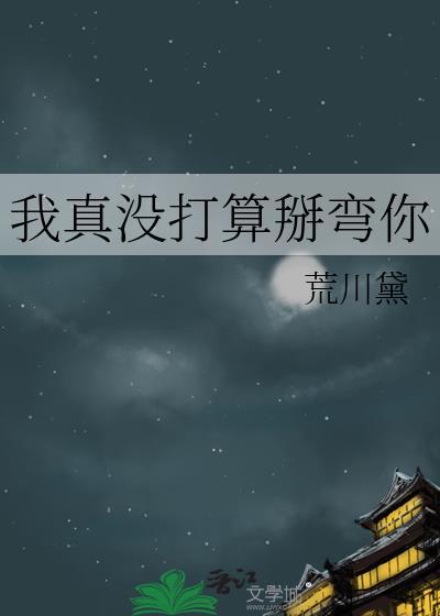 我真没打算掰弯你txt电子书