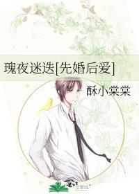 夜玫瑰免费阅读破