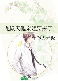 龙傲天他亲姐穿来了TXT