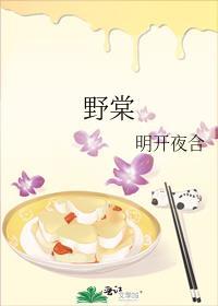 野棠居士张华令