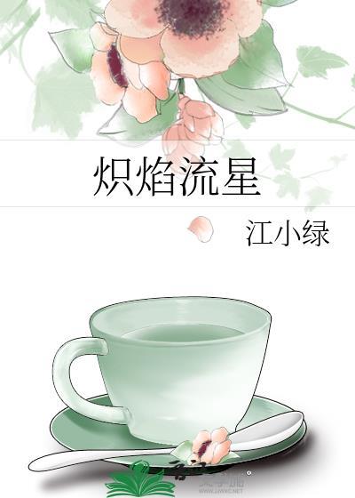 炽焰流星实体书番外