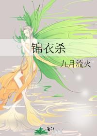 锦衣杀明txt精校版