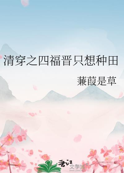 清穿之四福晋晋江