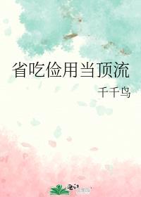 富可敌国乔免费阅读