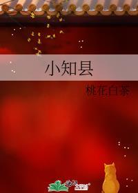 小知县笔趣阁