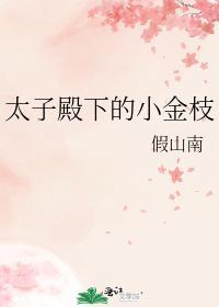 太子殿下的小公主