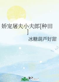 屠夫宠妻记