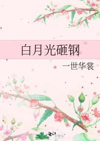 白月光砸钢TXT