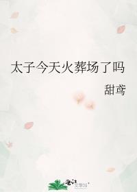太子今天火葬场了吗讲的什么