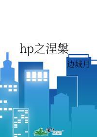 hp涅槃之灰txt