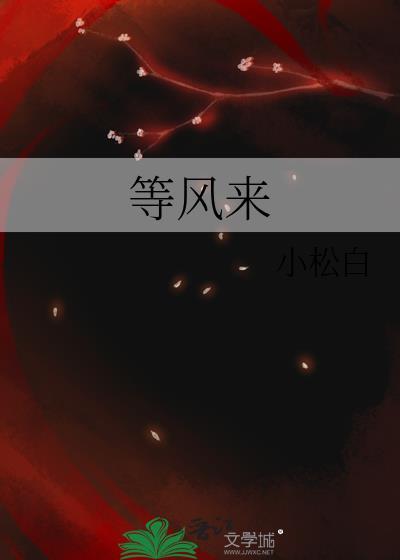 等风来在线观看完整版免费