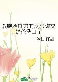 双胞胎崽崽的反派炮灰奶爸洗白了by今日宜甜