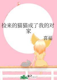 捡来的猫猫成了我的对家免费阅读