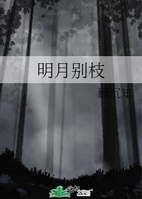 明月别枝讲的什么