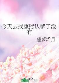 今天去找康熙认爹了没有TXT