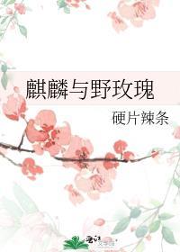 野生麒麟网红