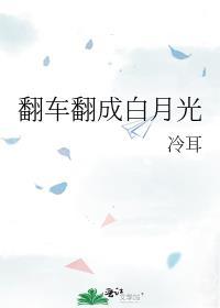 翻车翻成白月光讲的什么