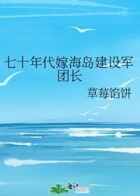 七十年代嫁海岛建设军团长_