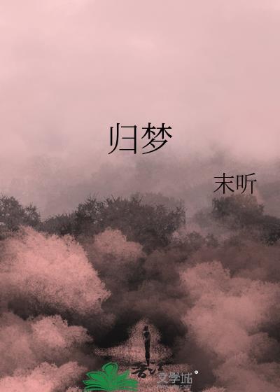 归梦集