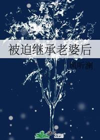被迫继承老婆后风听澜txt