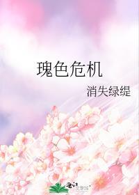 瑰色危机免费阅读消失绿缇_全文阅读