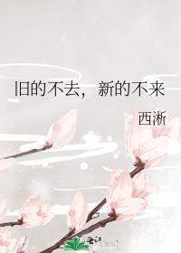 旧的不去新的不来 下一句