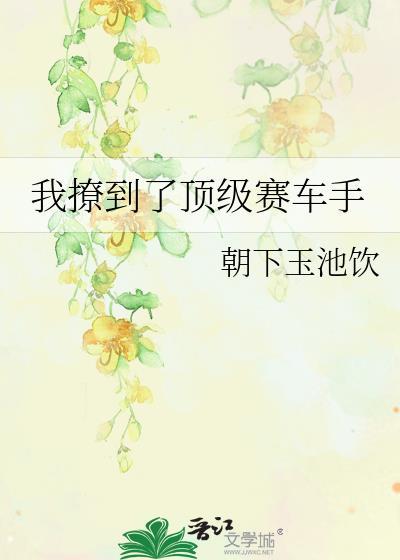 顶级赛车手(无限金币)