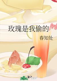 玫瑰是我偷 司岍