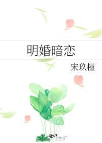 明婚暗恋txt