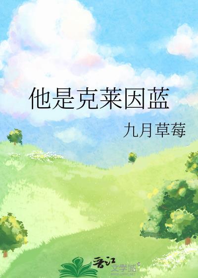 克莱因蓝简介