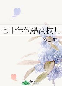 七十年代攀高枝儿百度