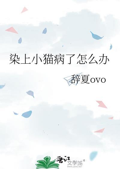 猫得了猫瘟怎么办