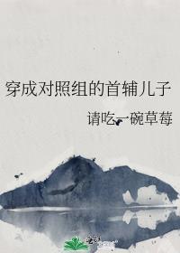 穿成对照组的首辅儿子栗银