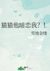 猫猫很喜欢你