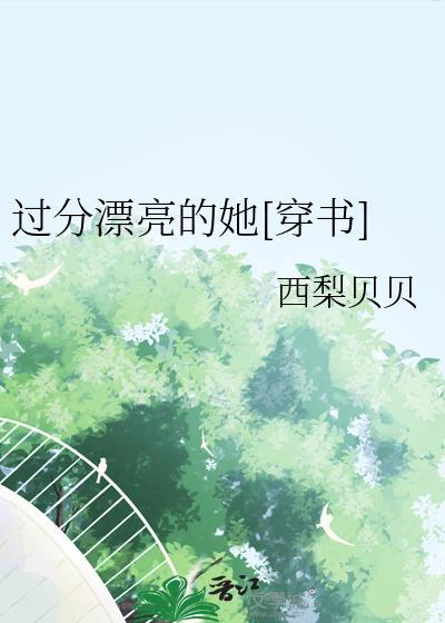 过分的美丽电视剧
