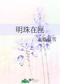 明珠在匣by北庭暮雪