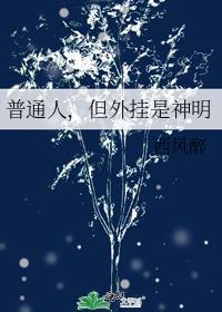外挂是什么人做的