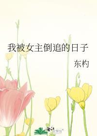 被女人倒追的
