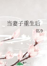 当妻子重生后 作者 铭净