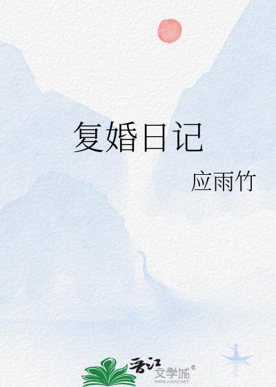 复婚讲的是什么故事