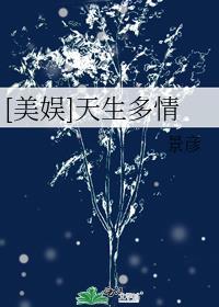文斗什么梗