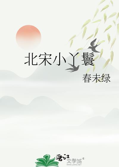 北宋小丫鬟男主角