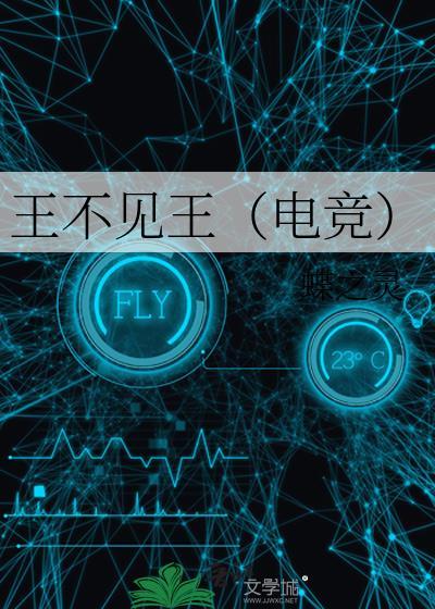 王不见王免费阅读